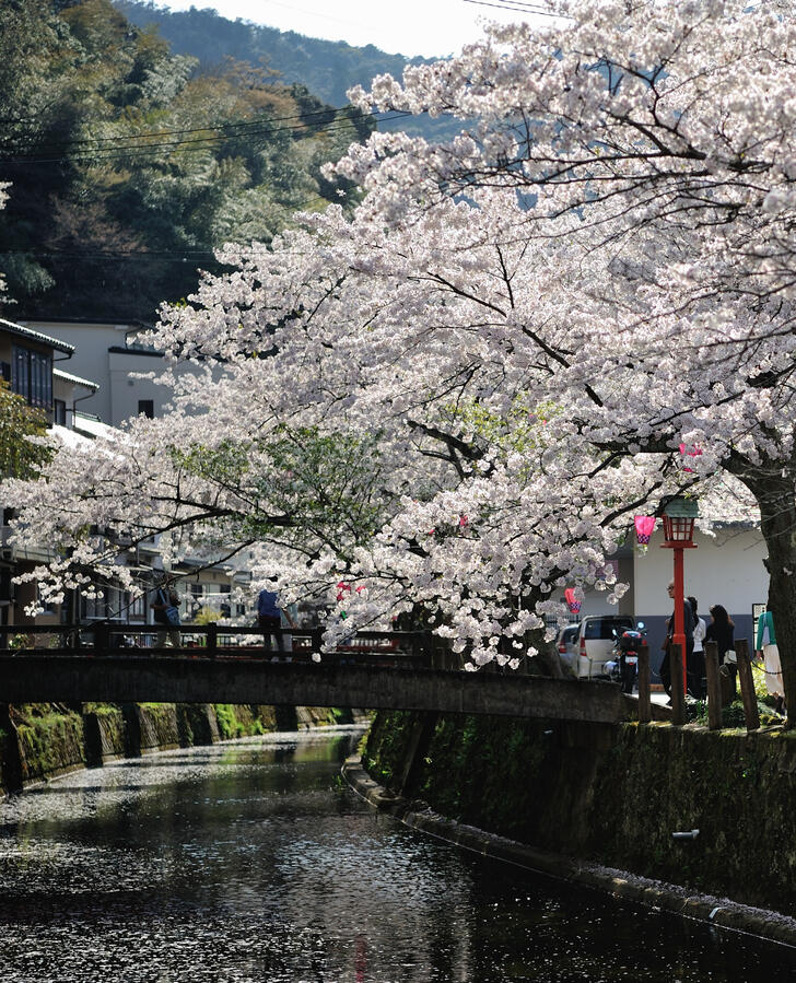 Spring in Kinosaki Spring in Kinosaki